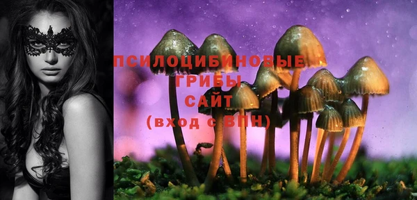 амфетамин Нея