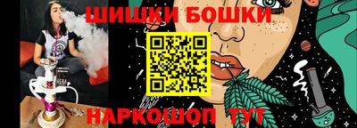 мдпв Гатчина