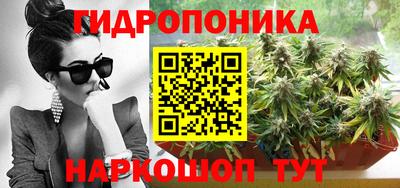 мдпв Гатчина