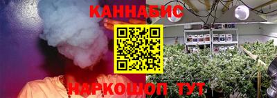 мдпв Гатчина