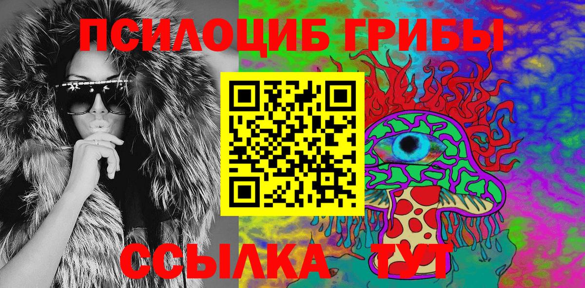 Псилоцибиновые грибы мицелий  Заводоуковск  Псилоцибиновые грибы Psilocybine cubensis 
