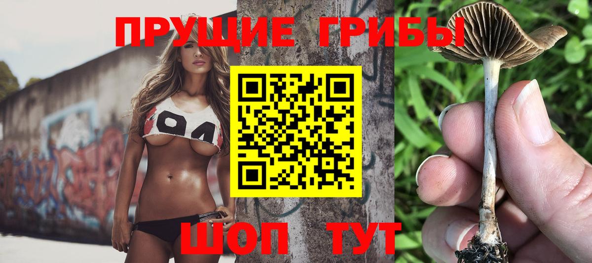 Галлюциногенные грибы Psilocybe  Псилоцибиновые грибы MAGIC MUSHROOMS  Вход с VPN  Заводоуковск 