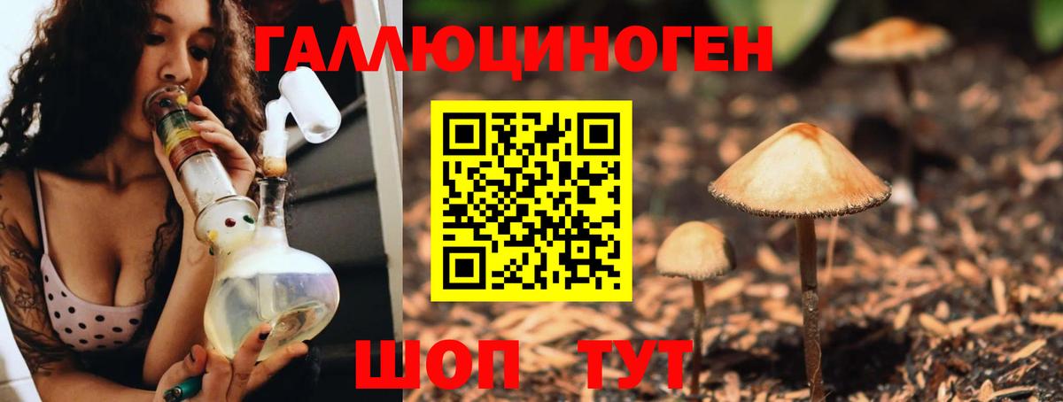 Галлюциногенные грибы Magic Shrooms Заводоуковск